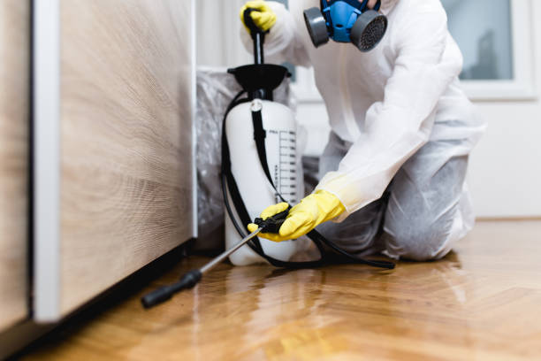 Best Best Pest Control Companies  in Athens, WV