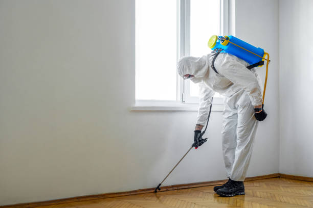 Best Wasp Removal Services  in Athens, WV