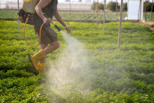Best Pest Control for Restaurants  in Athens, WV