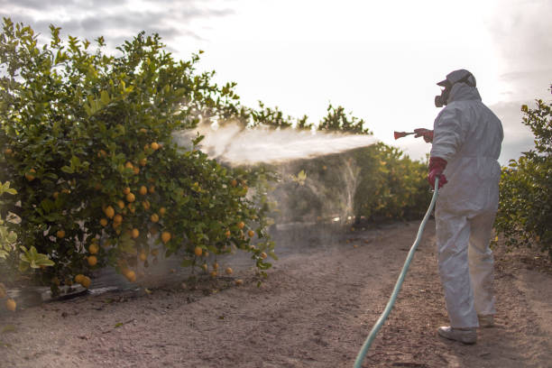 Pest Control for Restaurants in Athens, WV