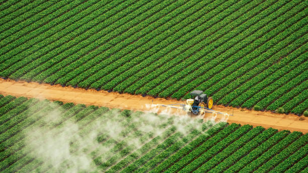 Pest Control Cost in Athens, WV