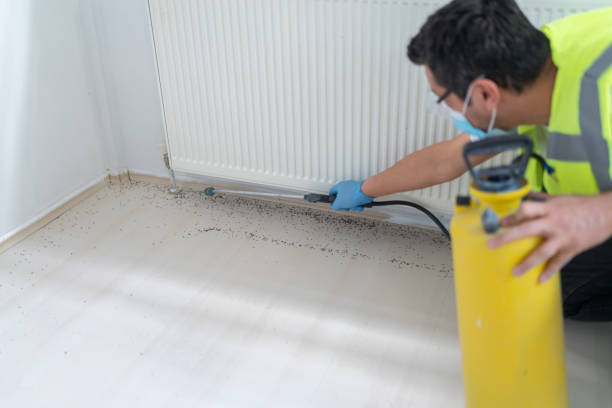 Trusted Athens, WV Pest Control Experts