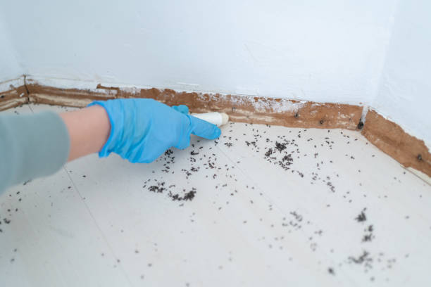 Best Mosquito Control Services  in Athens, WV