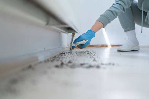 Best Commercial Pest Control Services  in Athens, WV